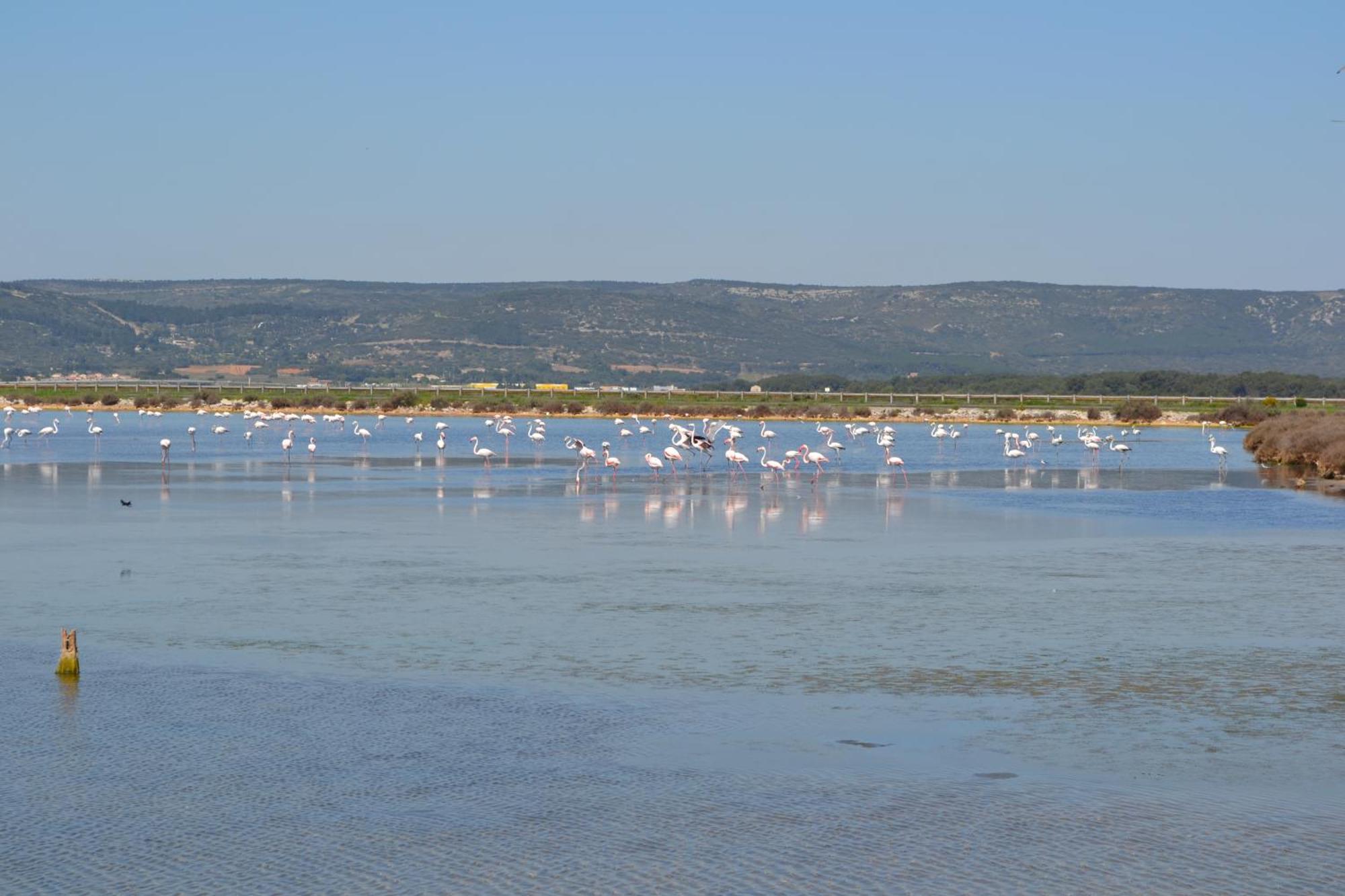 L'Aigrette Bleue Apartment Фронтинян Екстериор снимка